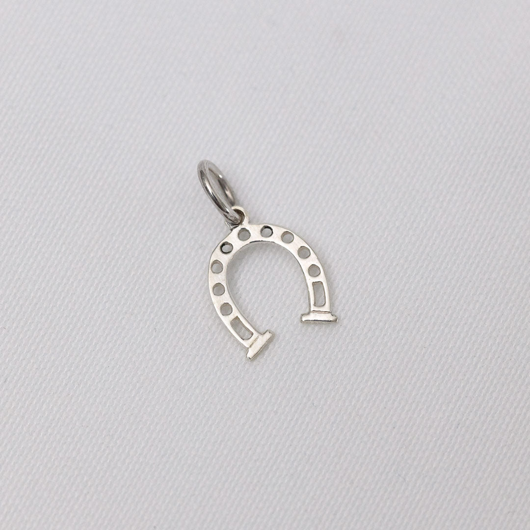 Collier Argent Femme Pendentif Fer à Cheval Collier Fille Et Cheval En Argent Sterling 925 - Bijou équestre Avec Zircone Cubique Collier Cheval Argent Sterling Bracelet Fille