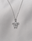LA TORTUE