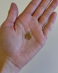 LA PATTE DE CHIEN - GOLD - PENDENTIF