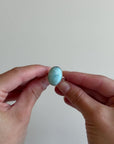 LA LARIMAR