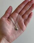 LE COQUILLAGE