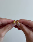 LES CONSERVATRICES - GOLD
