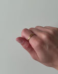LA CYCLIQUE - GOLD
