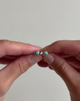 LES TURQUOISES